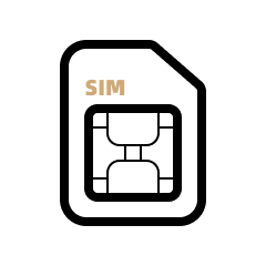 eSIM